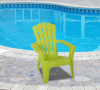 Maryland Adirondack Chair (Set of 2)