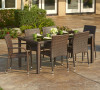 Toria 7 Piece All-Weather Wicker Dining Set